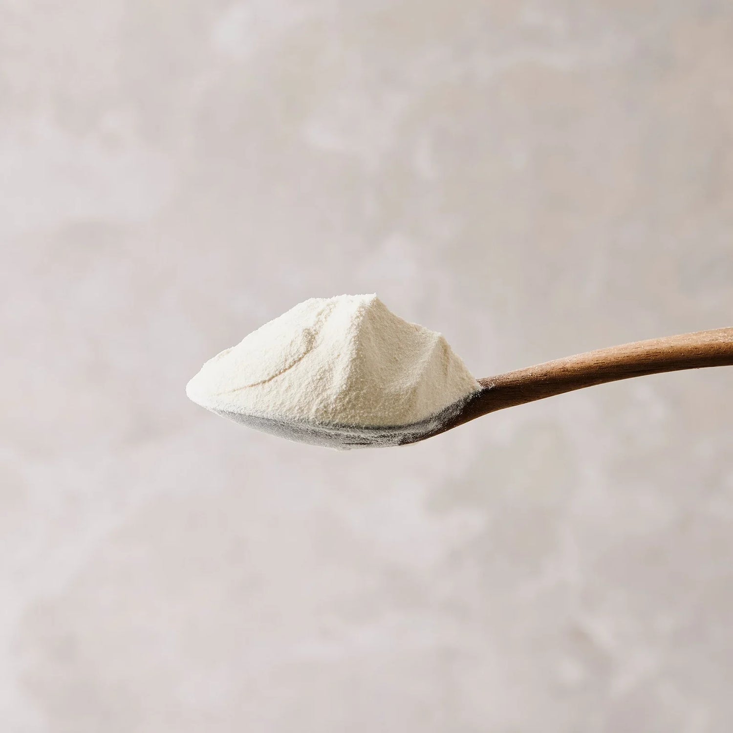 Protein Powder