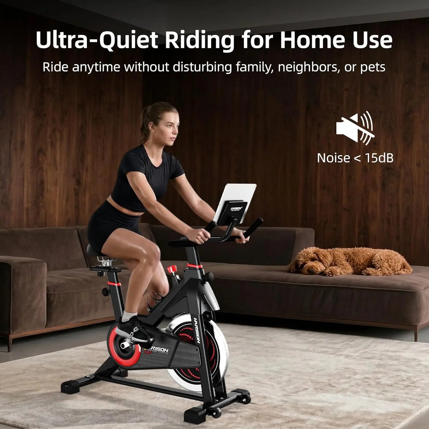 Exercise Bike, Magnetic Stationary Bike for Home, Quiet Dual-Belt Indoor Cycling Spin Bike, 380 lb Capacity, Customized