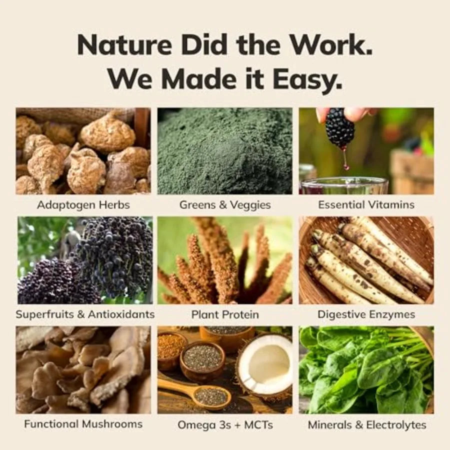 Ka'Chava Whole Body Meal Shake 2 lb Vegan Protein Powder with 8+ erfoods and Greens Plant-Based Meal Replacement with Probiotic